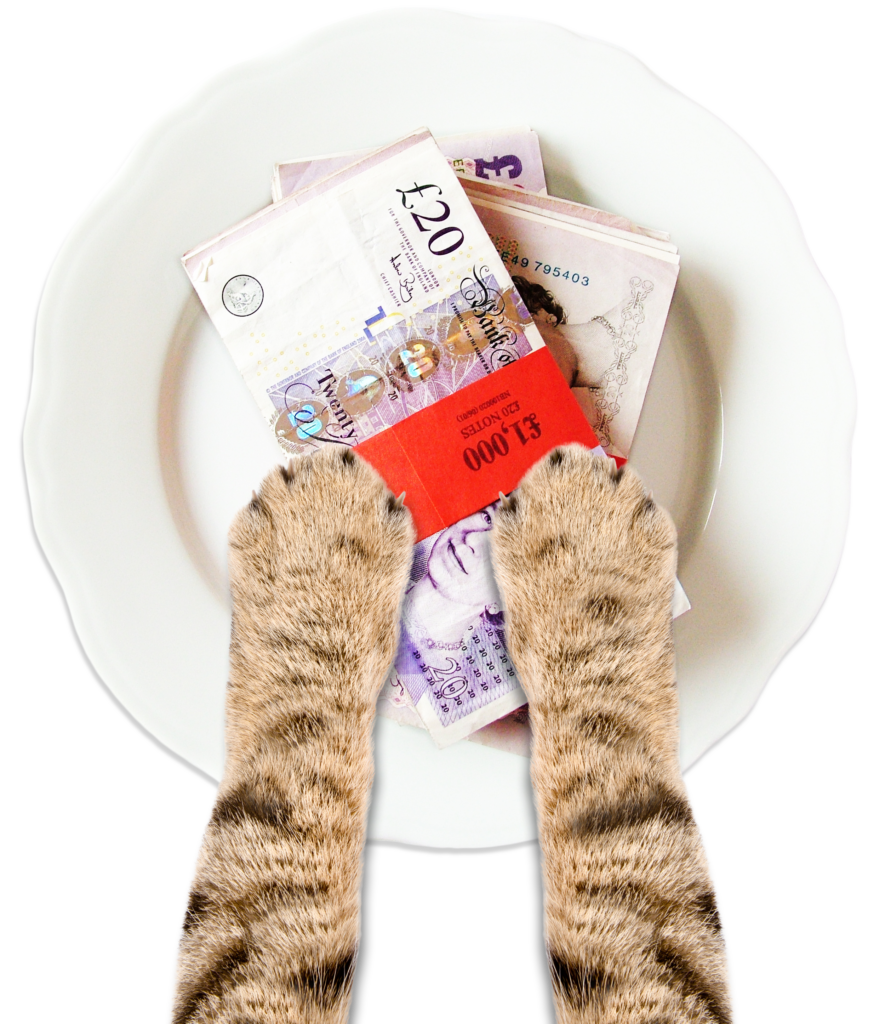 cats paws on money